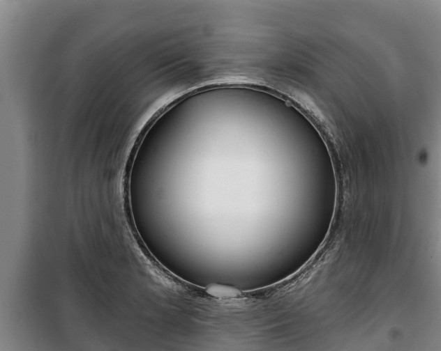 X0000100201181200806061315