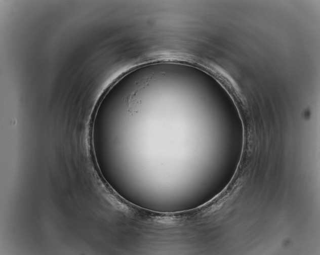 X0000100201182200806061315