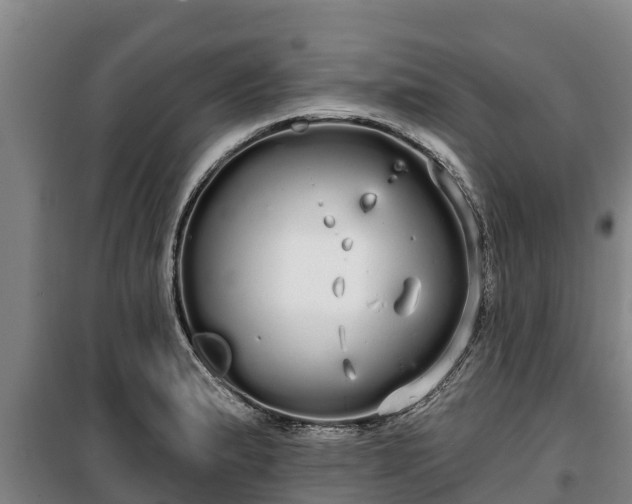 X0000100201183200806061315