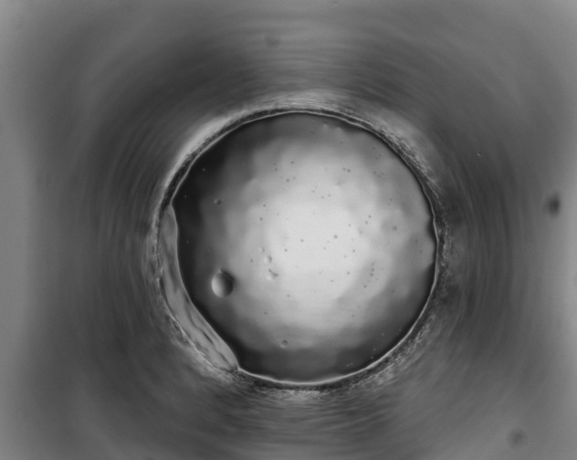 X0000100201184200806061315