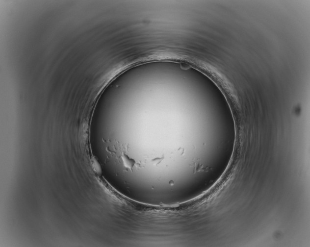 X0000100201185200806061315