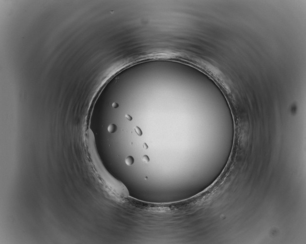 X0000100201186200806061315