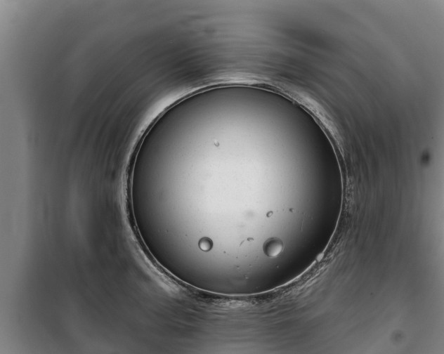 X0000100201187200806061315