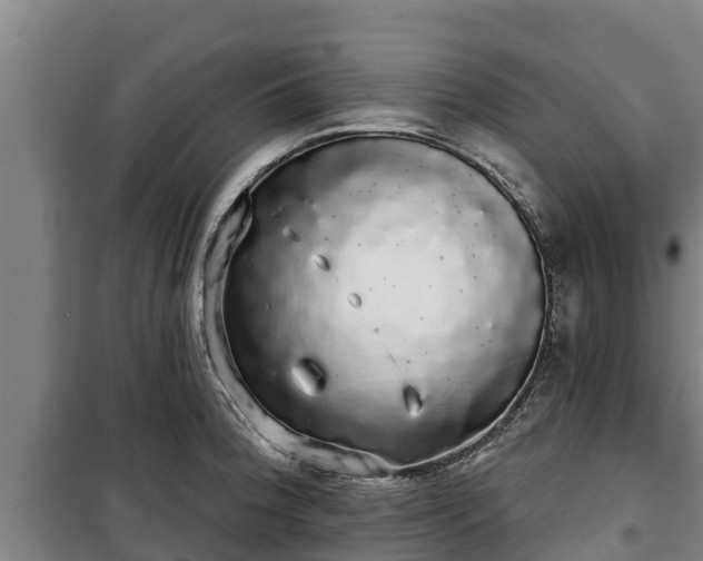 X0000100201188200806061315