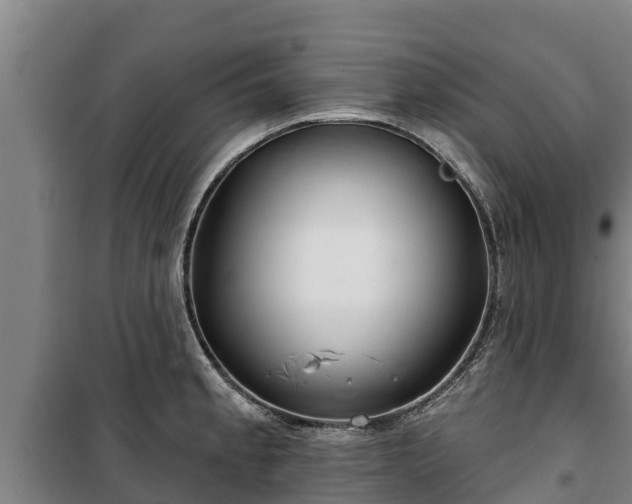 X0000100201189200806061315