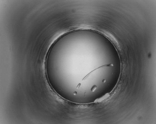 X0000100201190200806061315