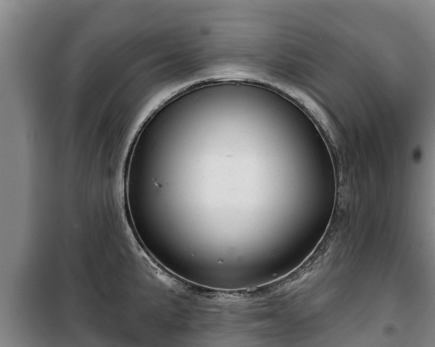 X0000100201191200806061315