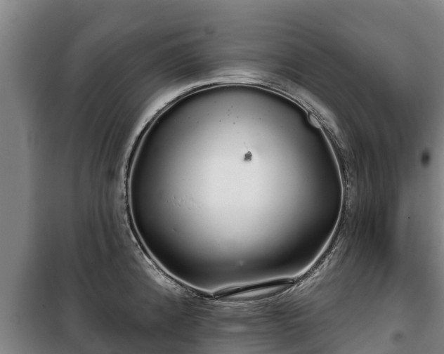 X0000100201192200806061315