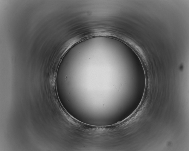 X0000100201193200806061315