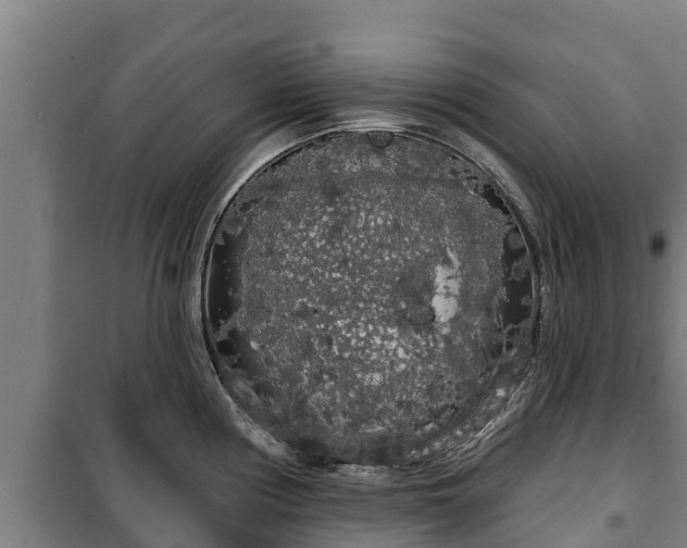 X0000100201194200806061315