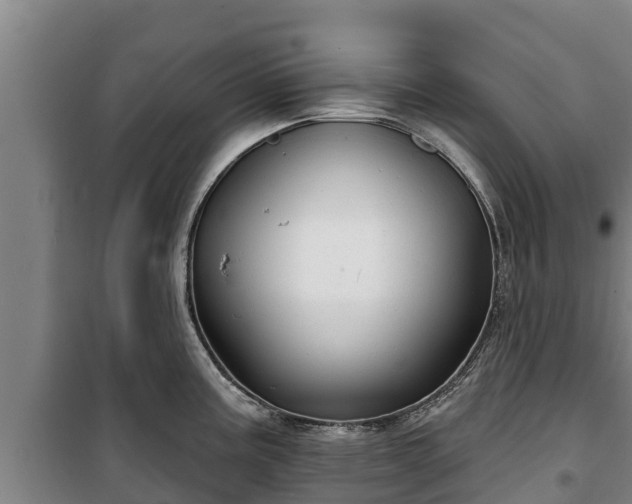 X0000100201195200806061315