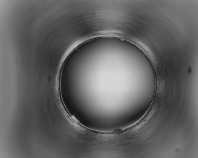 X0000100201196200806061315