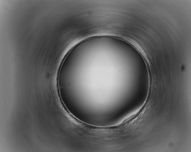 X0000100201197200806061315