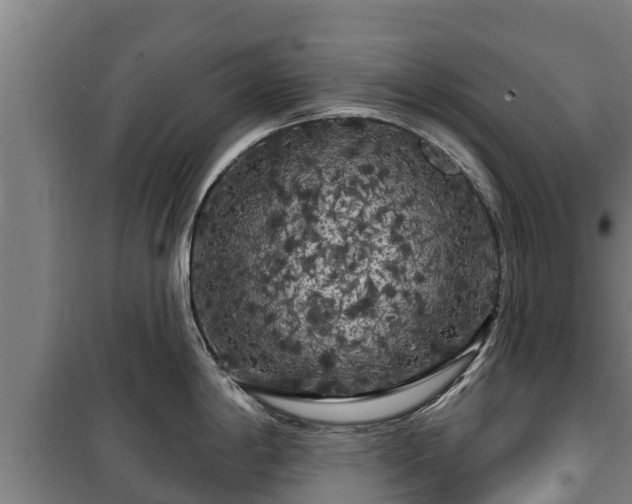 X0000100201198200806061315