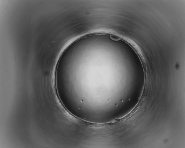 X0000100201199200806061315