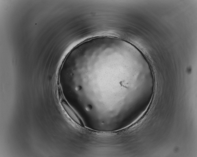 X0000100201200200806061315