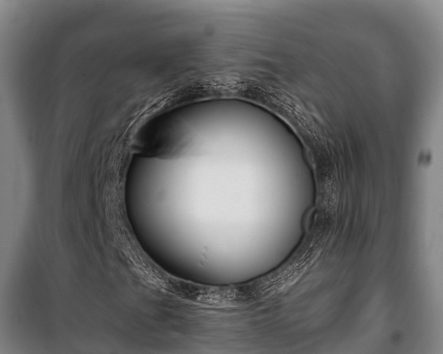 X0000100201201200806061314