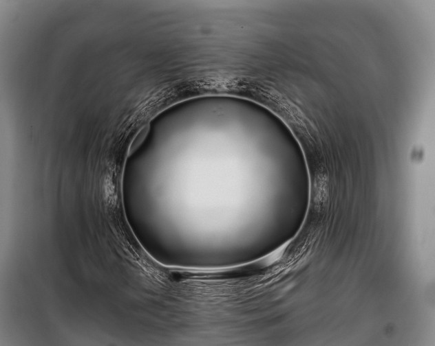 X0000100201202200806061314