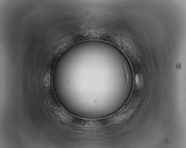 X0000100201203200806061314