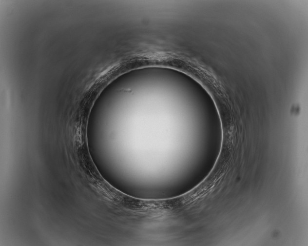 X0000100201205200806061314