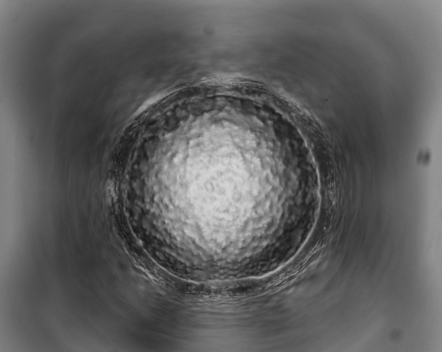 X0000100201206200806061314