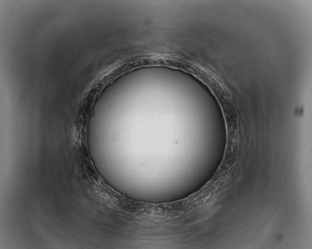 X0000100201207200806061314