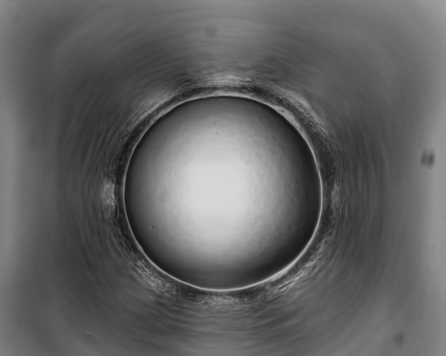 X0000100201209200806061314