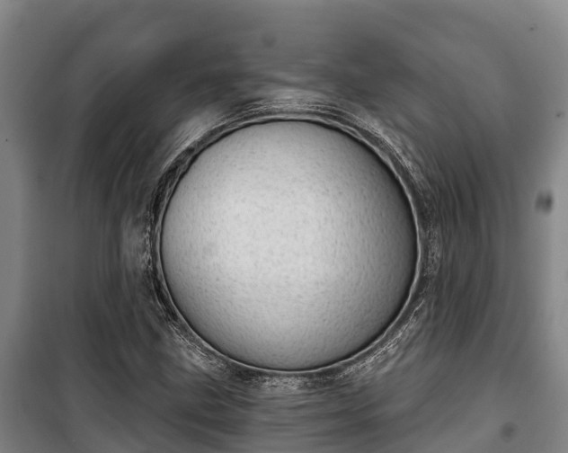 X0000100201211200806061314