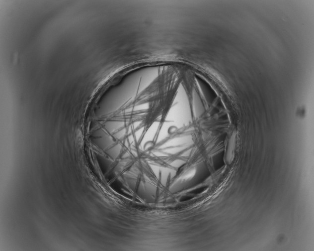 X0000100201212200806061314