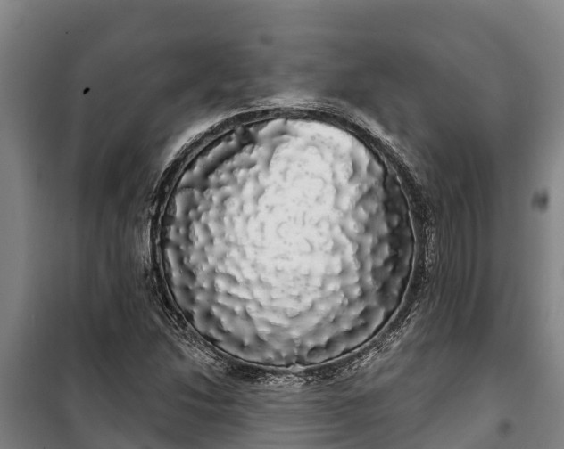 X0000100201214200806061314