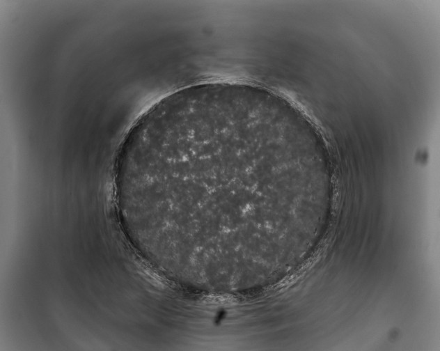 X0000100201215200806061314