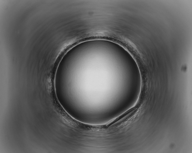 X0000100201218200806061314