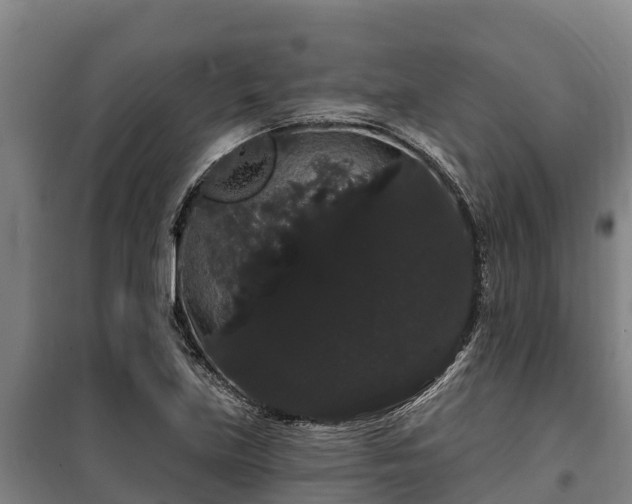 X0000100201219200806061314