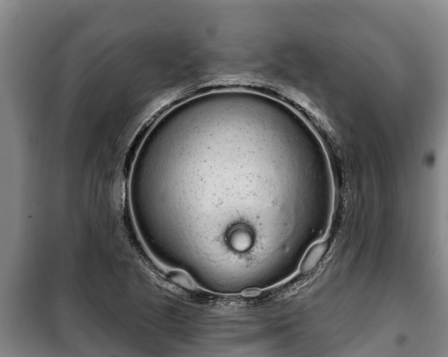 X0000100201221200806061314