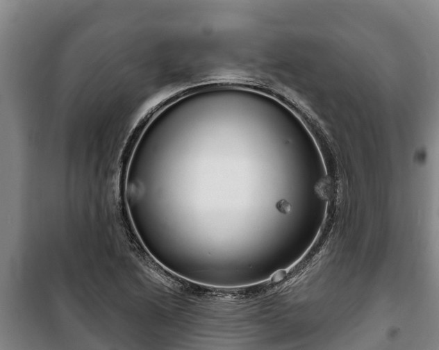 X0000100201222200806061314