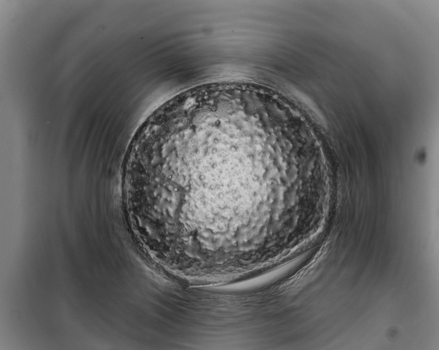 X0000100201226200806061314