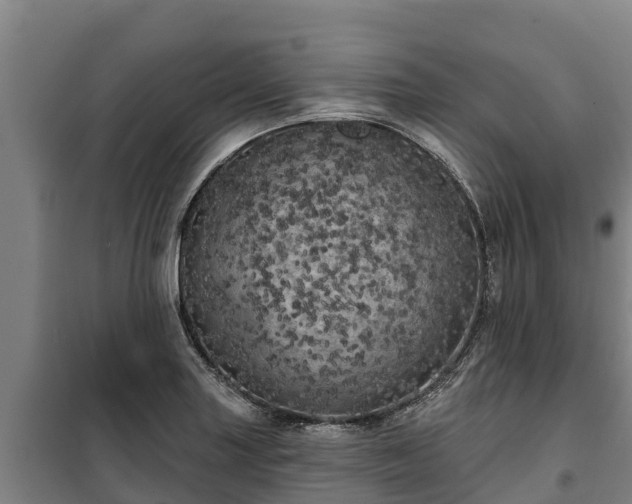 X0000100201227200806061314