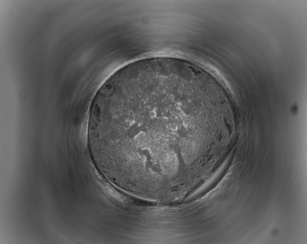 X0000100201228200806061314