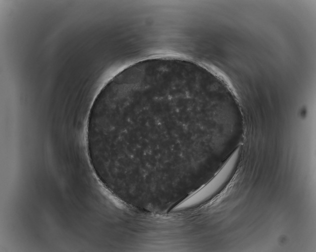 X0000100201231200806061314