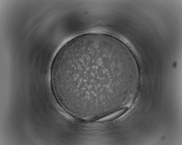 X0000100201232200806061314