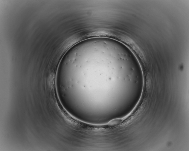 X0000100201233200806061314