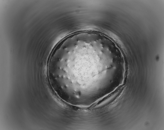 X0000100201234200806061314