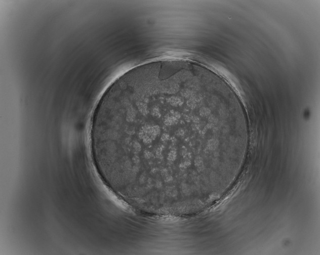 X0000100201235200806061314