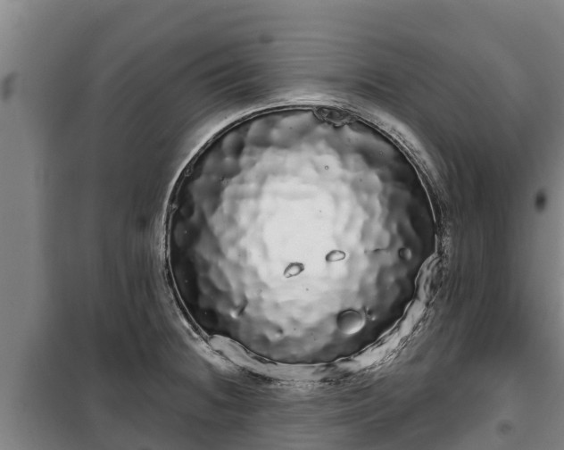 X0000100201236200806061314