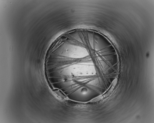 X0000100201237200806061314