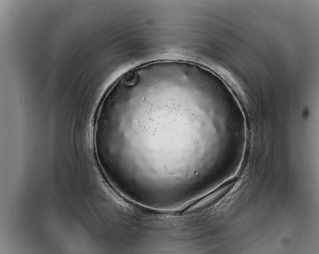 X0000100201238200806061314