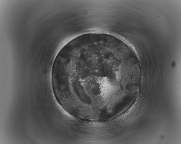 X0000100201239200806061314