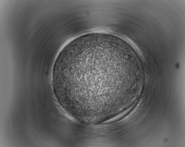 X0000100201240200806061314