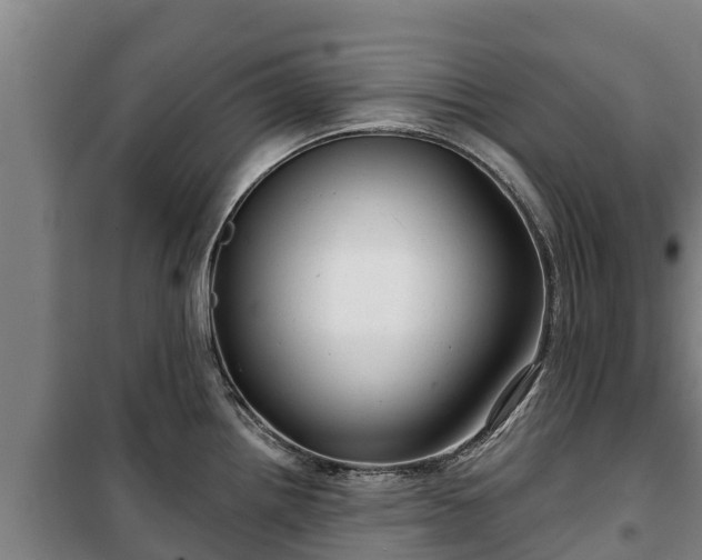 X0000100201242200806061314