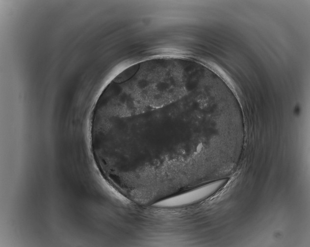 X0000100201243200806061315